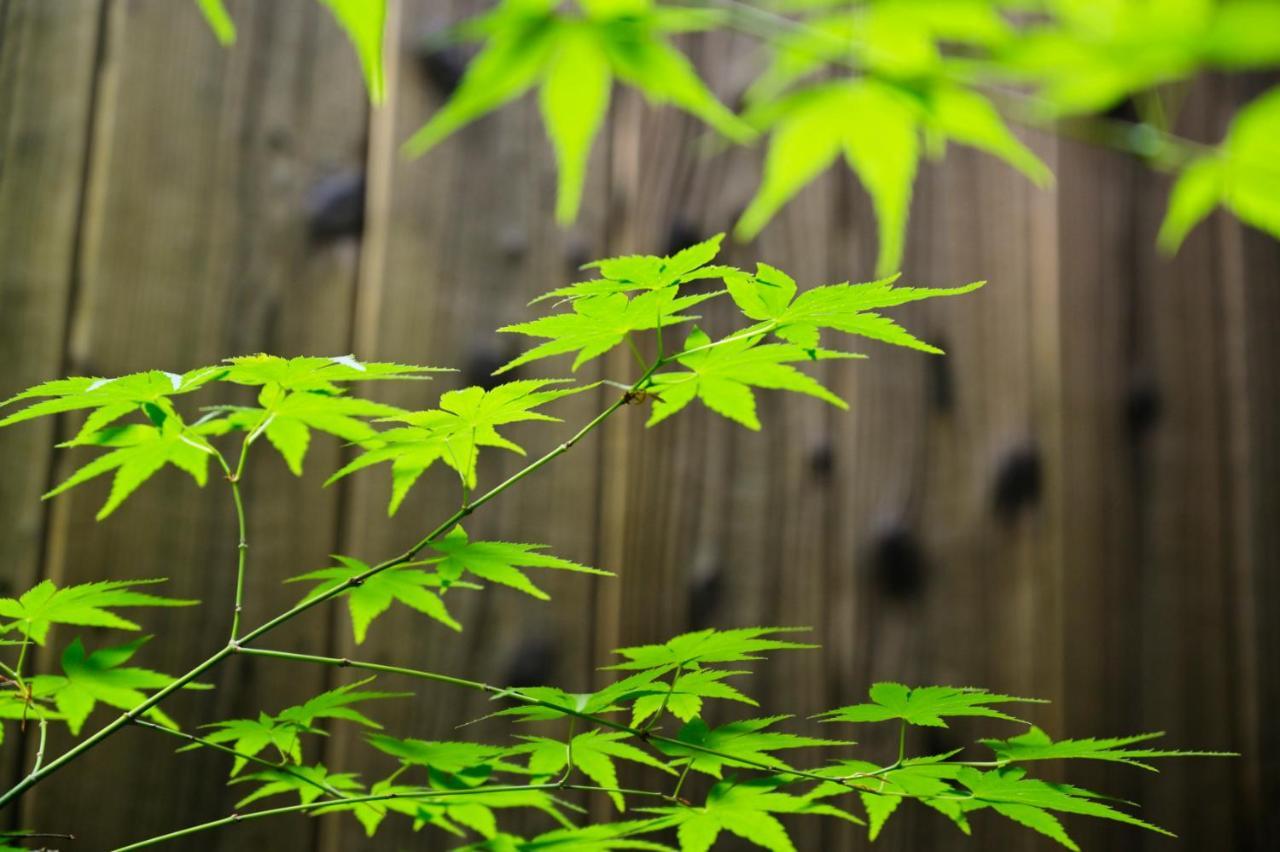 فيلا 弎京匯（Sankyokai） كيوتو المظهر الخارجي الصورة